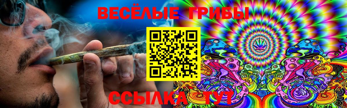 Галлюциногенные грибы MAGIC MUSHROOMS Гурьевск