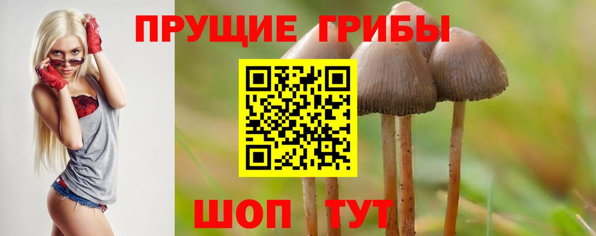 Псилоцибиновые грибы Cubensis  Вход с VPN  где купить наркоту  Гурьевск 